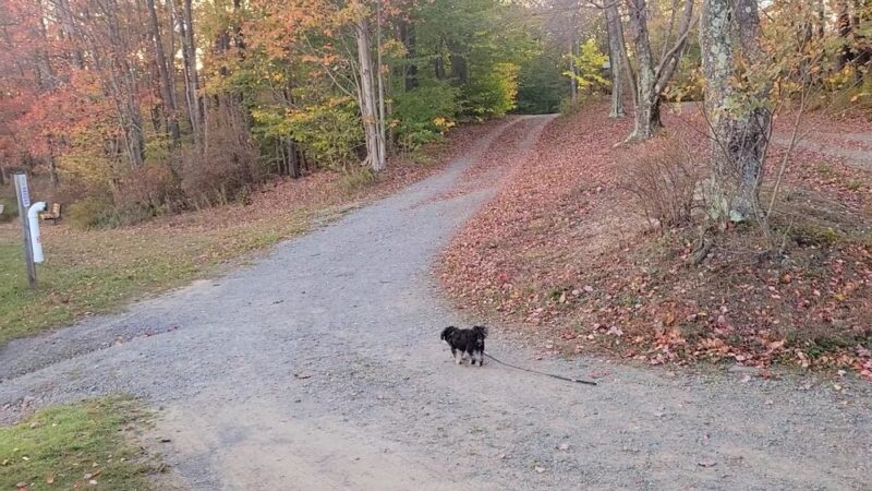 Tobyhanna Campground - Tobyhanna, PA