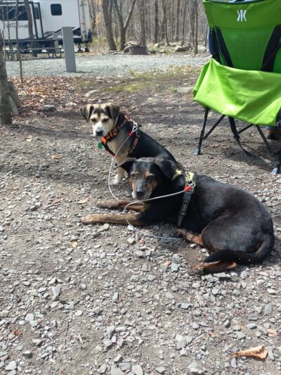 Tobyhanna Campground - Tobyhanna, PA