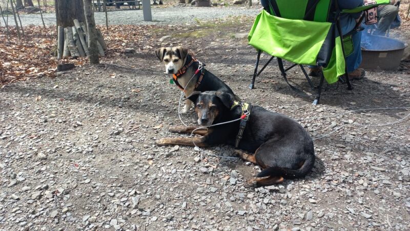 Tobyhanna Campground - Tobyhanna, PA