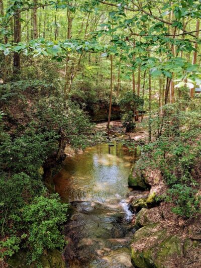 Henderson Falls Park - Toccoa, GA