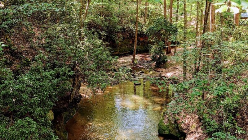 Henderson Falls Park - Toccoa, GA