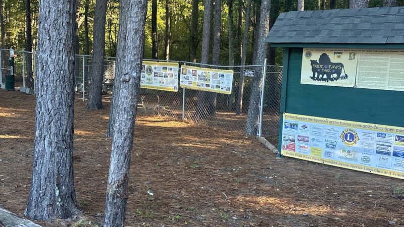 Toccoa Lions Club Pride Paws Park - Toccoa, GA