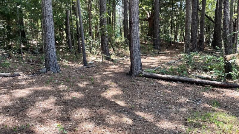 Toccoa Lions Club Pride Paws Park - Toccoa, GA