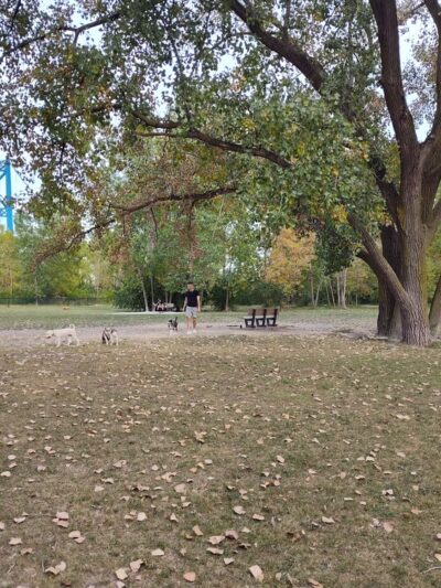 Middlegrounds Dog Park - Toledo, OH
