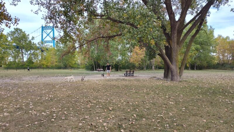 Middlegrounds Dog Park - Toledo, OH