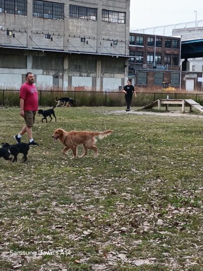 Middlegrounds Dog Park - Toledo, OH