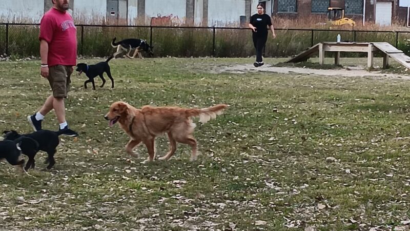 Middlegrounds Dog Park - Toledo, OH