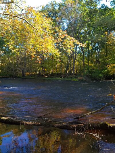 Heron Cove Park - Tolland, CT