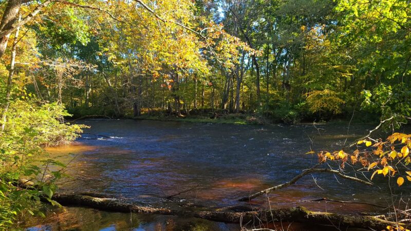 Heron Cove Park - Tolland, CT