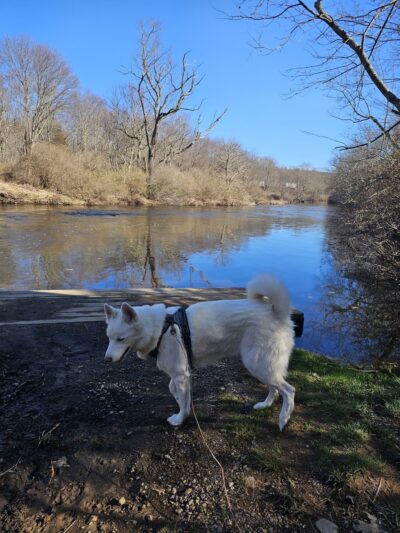 Heron Cove Park - Tolland, CT