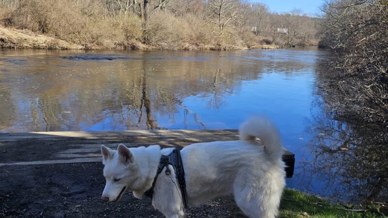 Heron Cove Park - Tolland, CT