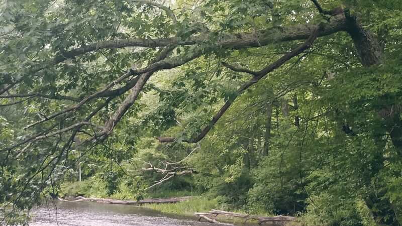Heron Cove Park - Tolland, CT
