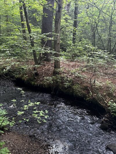 Shafran Conservation Area - Tolland, CT