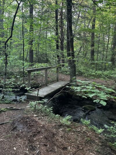 Shafran Conservation Area - Tolland, CT