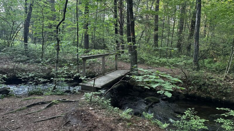 Shafran Conservation Area - Tolland, CT