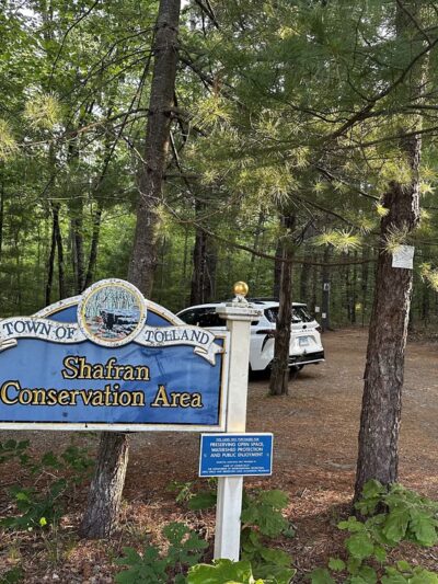 Shafran Conservation Area - Tolland, CT