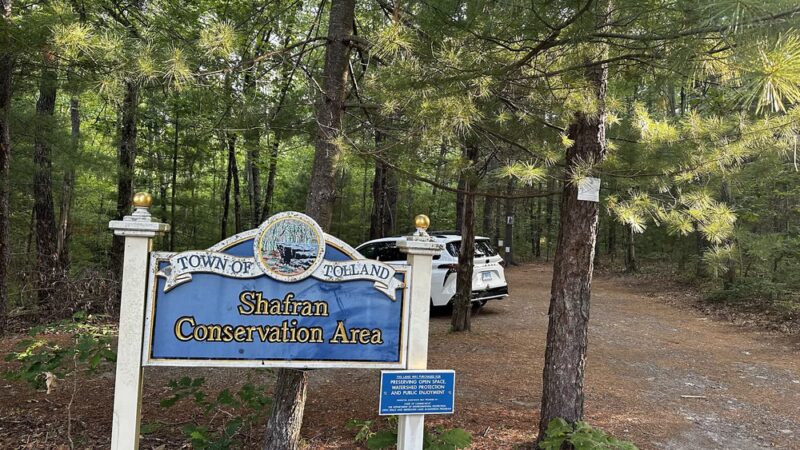 Shafran Conservation Area - Tolland, CT