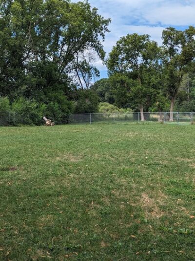 Tomah Dog Park - Tomah, WI
