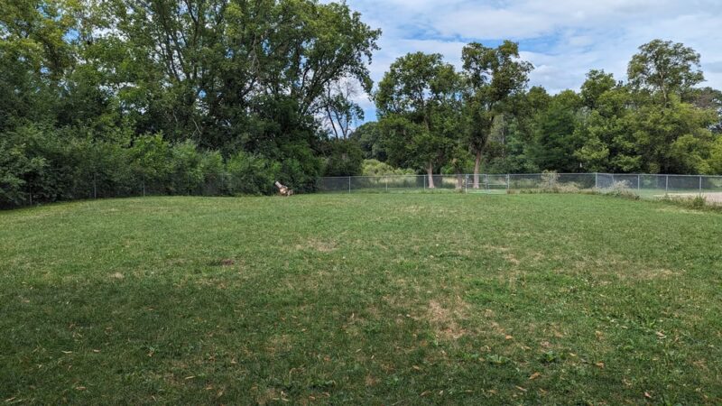 Tomah Dog Park - Tomah, WI