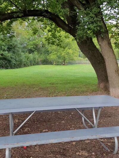 Tomah Dog Park - Tomah, WI