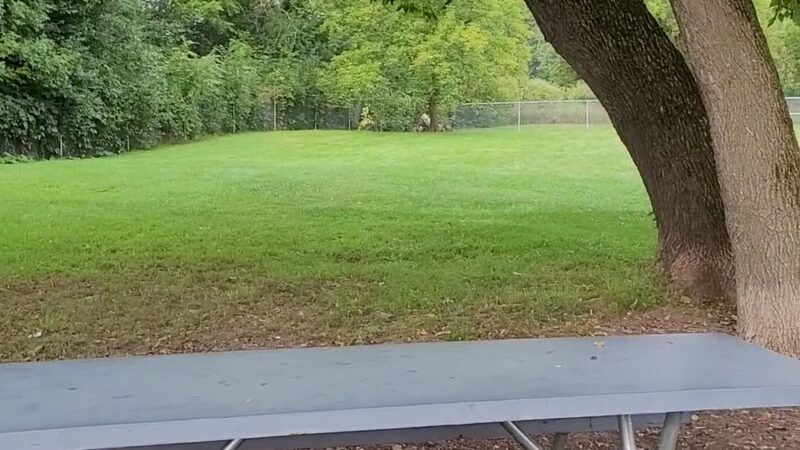 Tomah Dog Park - Tomah, WI