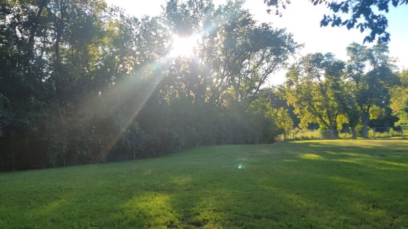 Tomah Dog Park - Tomah, WI