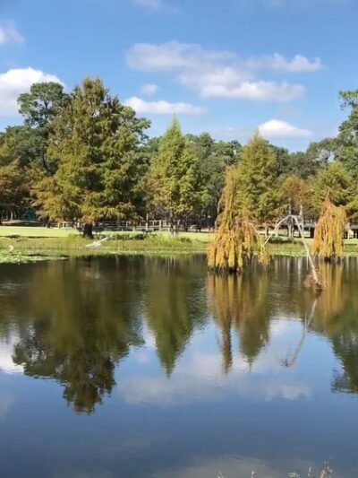 Burroughs Park - Tomball, TX