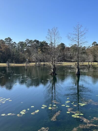 Burroughs Park - Tomball, TX
