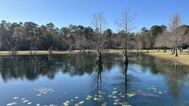 Burroughs Park - Tomball, TX