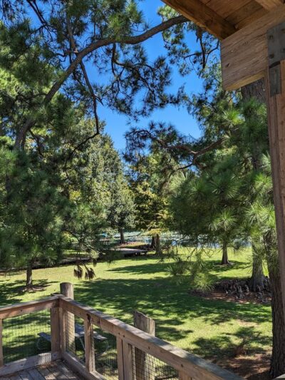 Burroughs Park - Tomball, TX