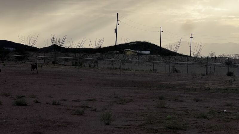 Dog Park Bark Park - Tombstone, AZ