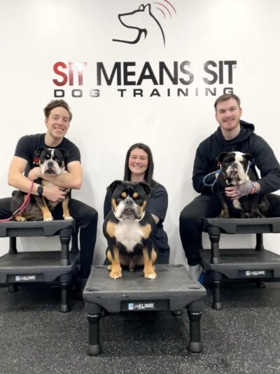 Sit Means Sit Dog Training - Toms River - Toms River, NJ