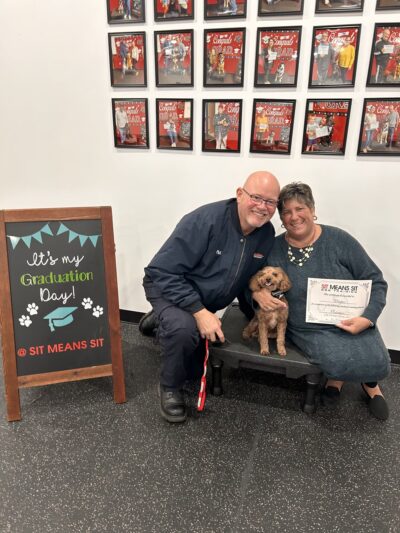 Sit Means Sit Dog Training - Toms River - Toms River, NJ