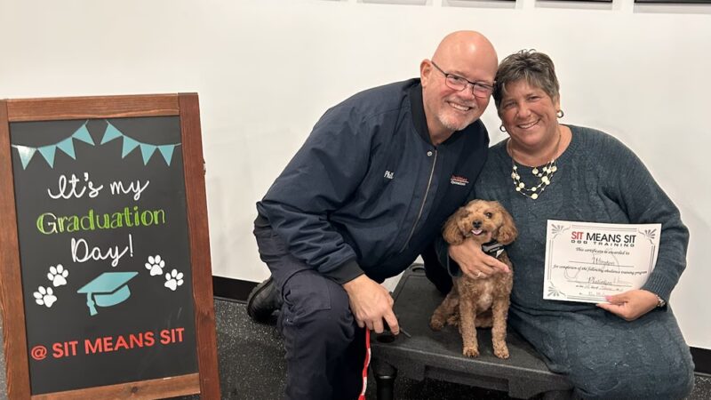 Sit Means Sit Dog Training - Toms River - Toms River, NJ