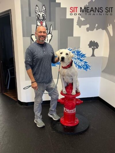 Sit Means Sit Dog Training - Toms River - Toms River, NJ
