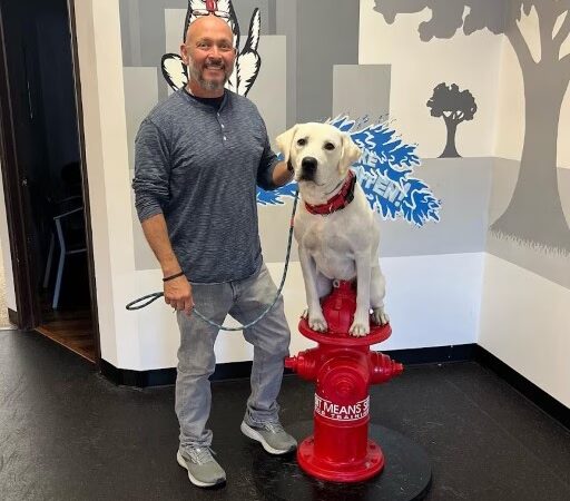 Sit Means Sit Dog Training - Toms River - Toms River, NJ