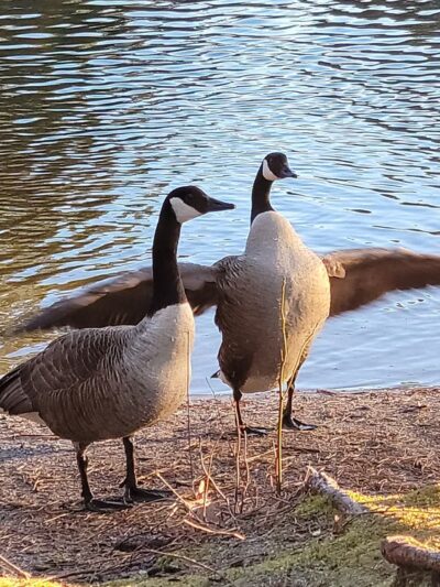 Childrens memorial garden - Toms River, NJ