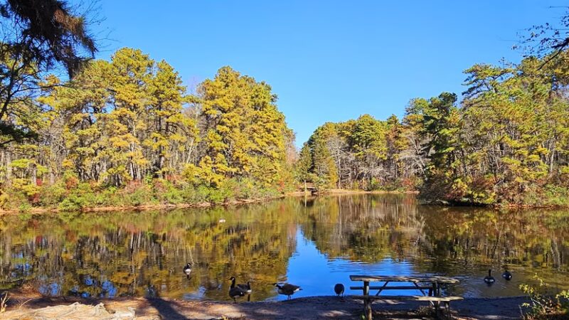 Childrens memorial garden - Toms River, NJ