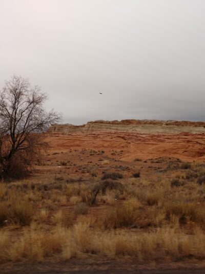 Elephant’s Feet Parking - Tonalea, AZ
