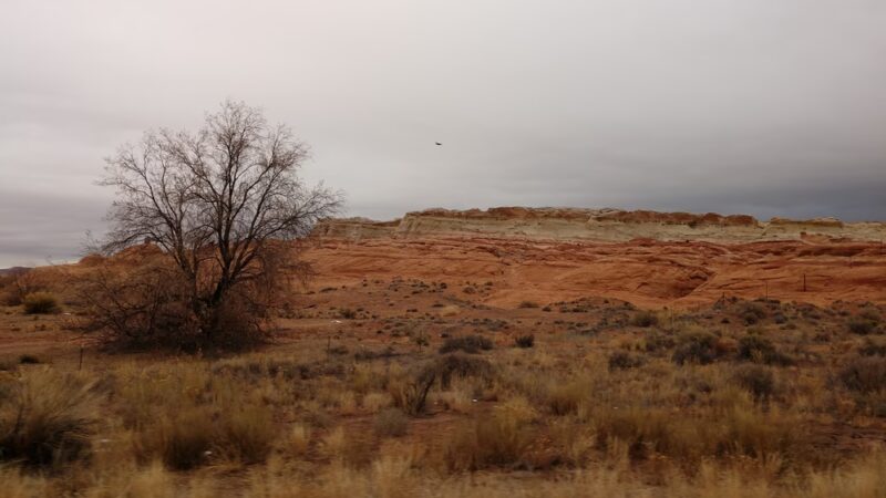 Elephant’s Feet Parking - Tonalea, AZ