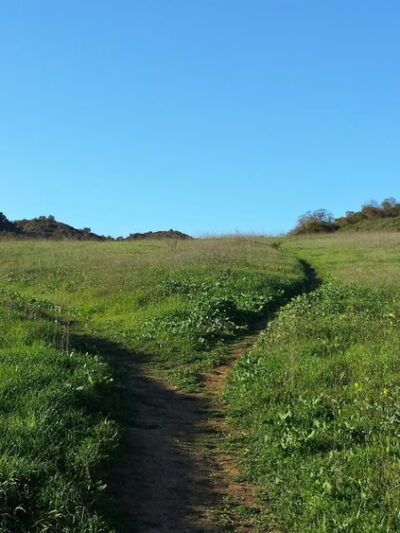 Summit Valley Edmund D. Edelman Park - Topanga, CA