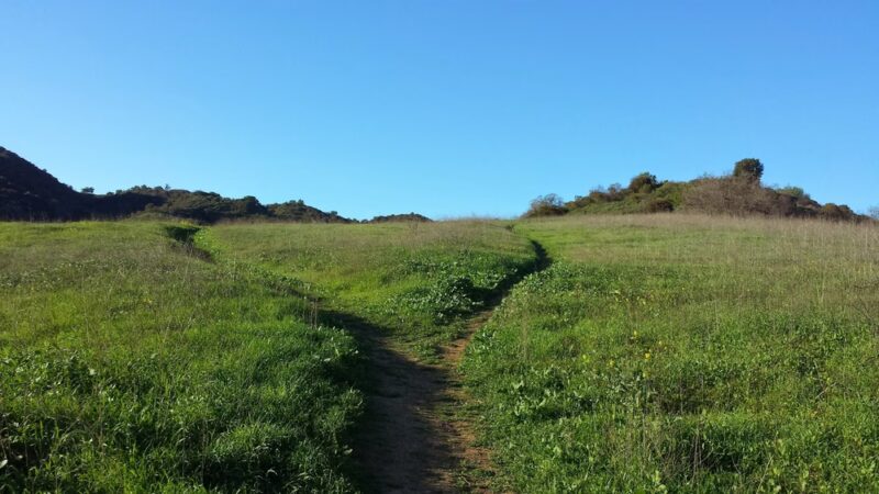 Summit Valley Edmund D. Edelman Park - Topanga, CA