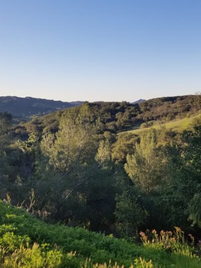 Summit Valley Edmund D. Edelman Park - Topanga, CA