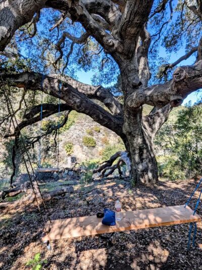 Summit Valley Edmund D. Edelman Park - Topanga, CA
