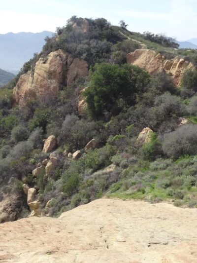 Topanga State Park - Topanga, CA