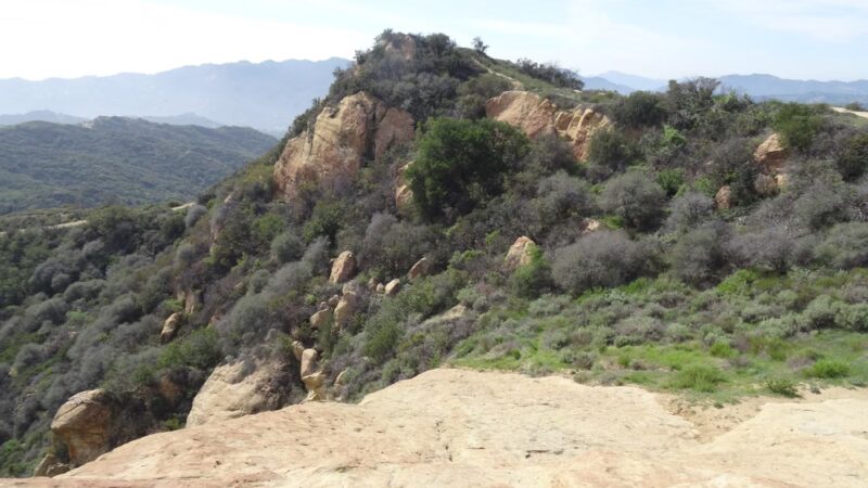 Topanga State Park - Topanga, CA