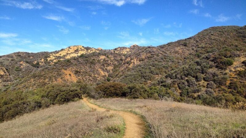 Topanga State Park - Topanga, CA