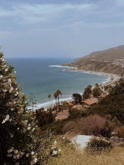 Topanga State Park - Topanga, CA