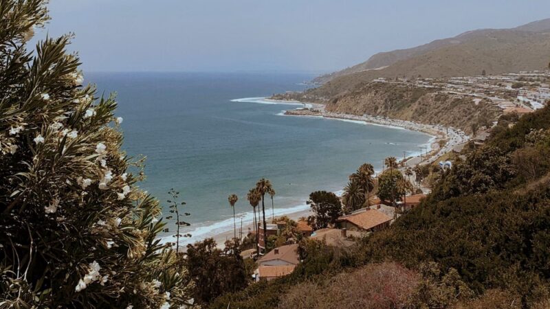 Topanga State Park - Topanga, CA