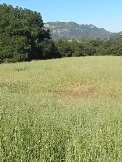 Trippet Ranch - Topanga, CA